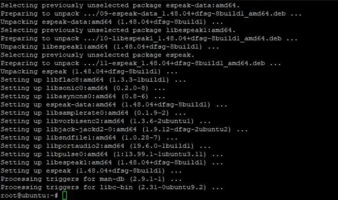 Вывод установки eSpeak