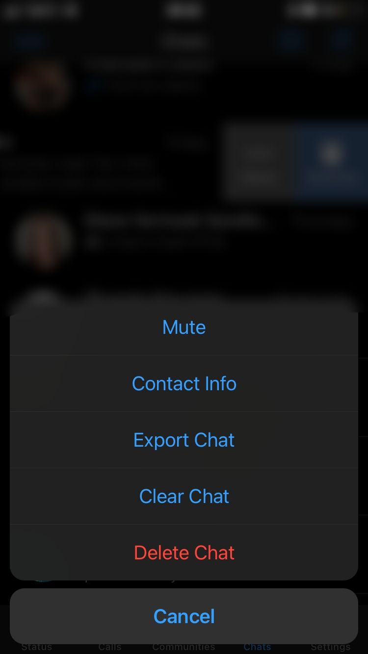 Меню индивидуального чата в iOS