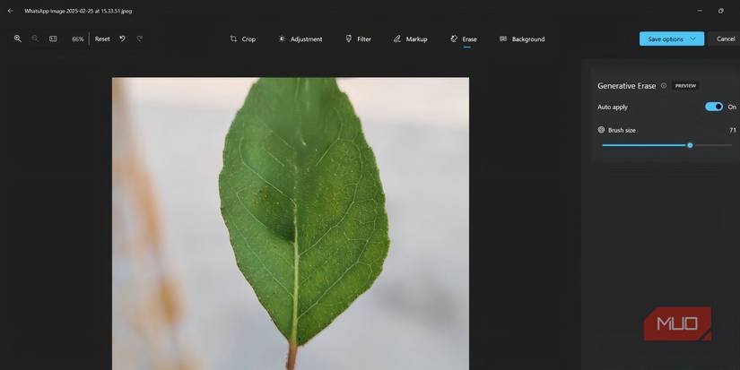Результаты теста Generative Erase на фотографии