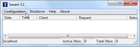Окно конфигурации Savant: настройка Server DNS Entry