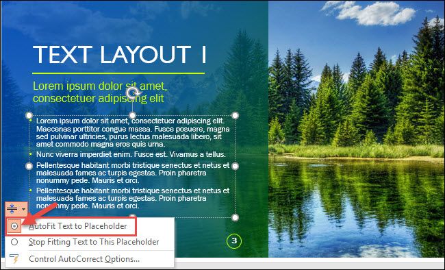 Выделено: опция AutoFit Text to Placeholder активна