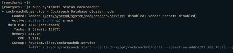 service на srv1