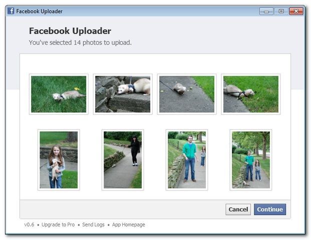 Диалог подтверждения передачи из Picasa в PicasaUploader