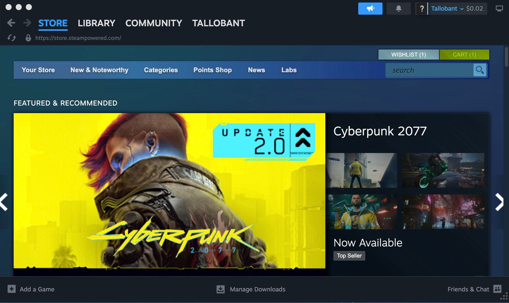 Страница магазина Steam