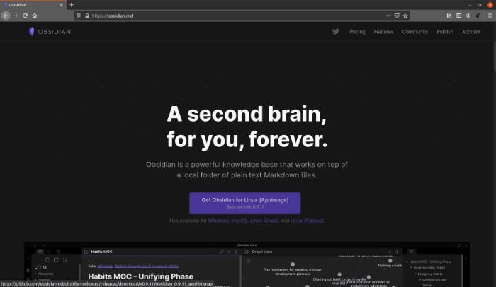 Официальный сайт Obsidian — загрузка для платформ