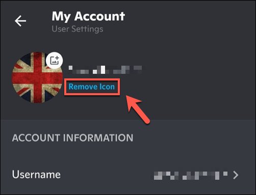 Кнопка «Удалить значок» для удаления загруженного аватара и возврата к стандартному изображению.
