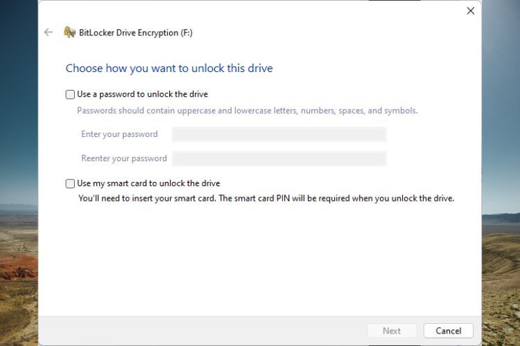 Окно BitLocker с выбором способа разблокировки диска по паролю