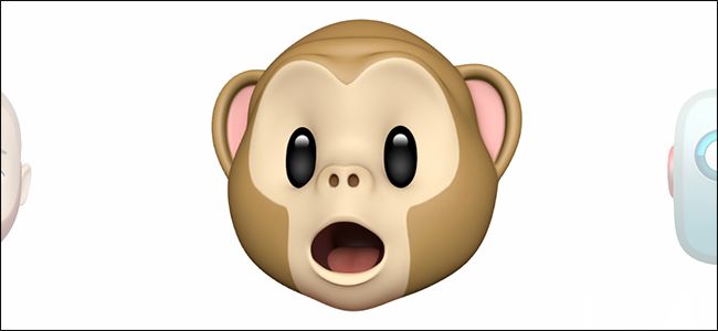 Animoji и Memoji на iPhone — руководство