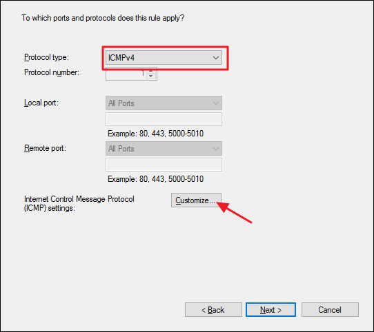 Выбор протокола ICMPv4