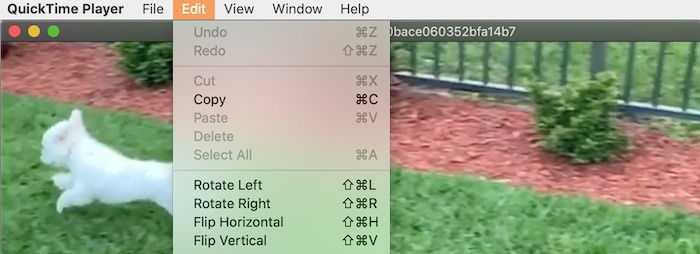 Movie Editing Quicktime Mac Rotate Video