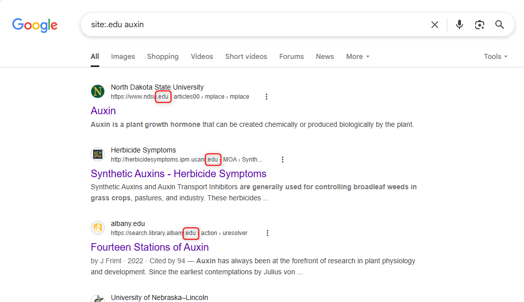 Результат поиска Google для запроса по доменной зоне