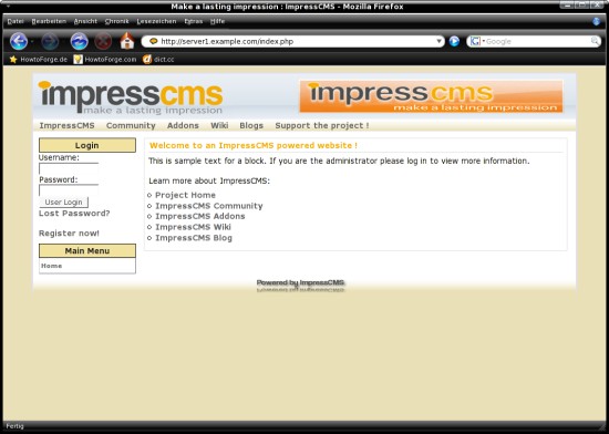 Capture: aperçu du site après installation
