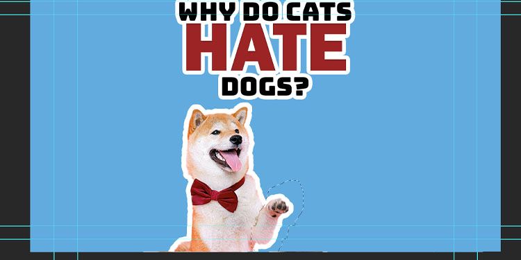 Инструмент лассо в панели инструментов Photoshop