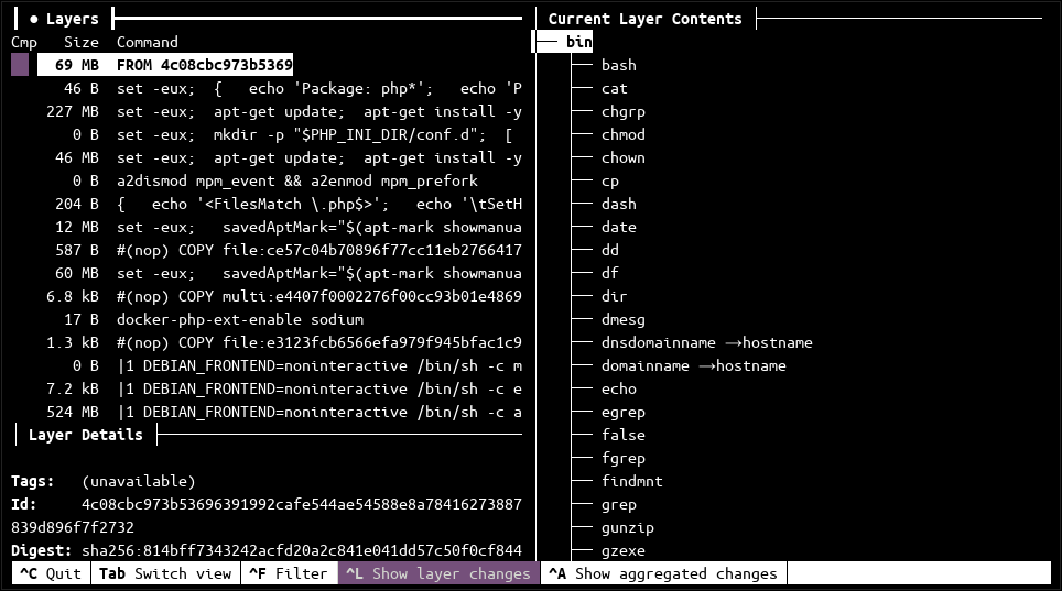 Просмотр файловой системы Docker-образа в Dive, интерфейс визуального анализа слоев