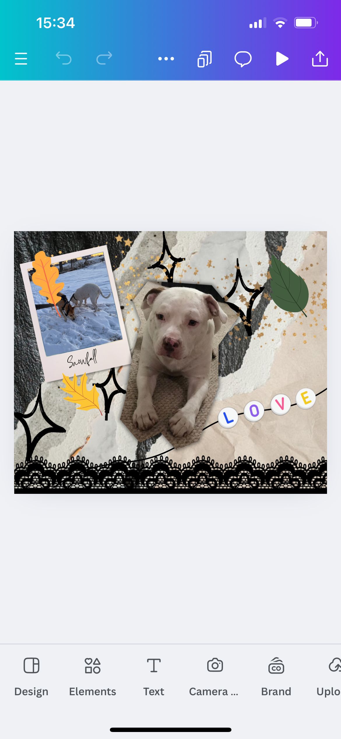 Выбор одного элемента в приложении Canva