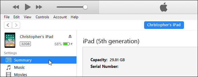Раздел Summary в iTunes