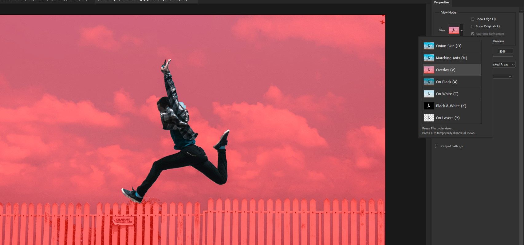 Режим просмотра в Select and Mask