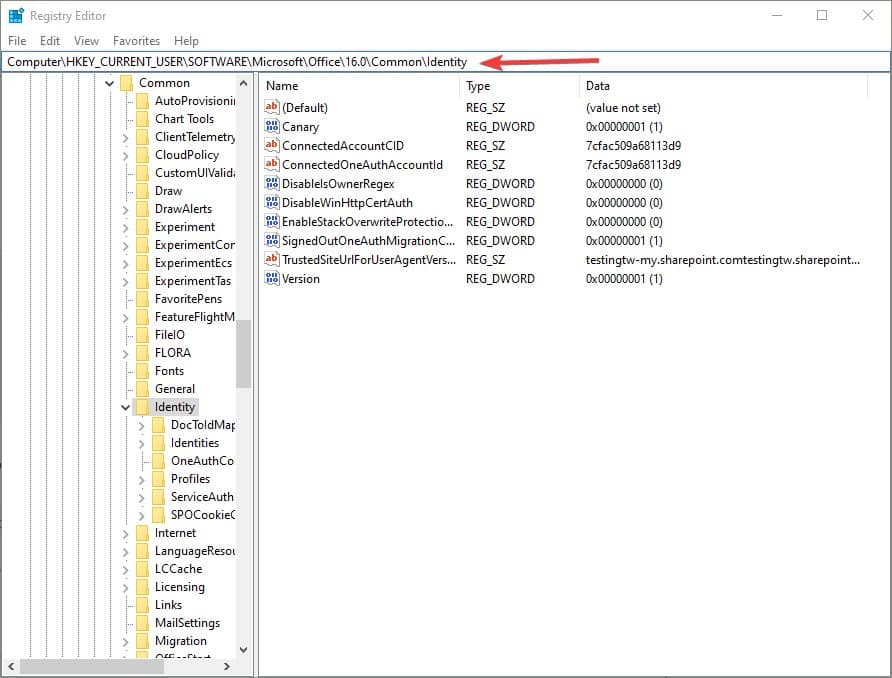 Barra indirizzo dell'Editor registro con percorso Identity inserito