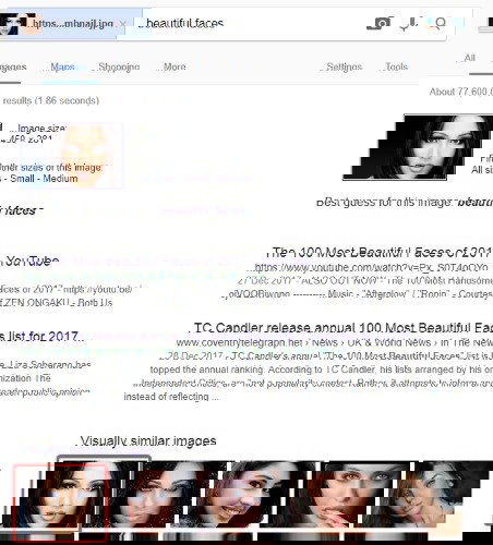 результаты обратного поиска изображений показывают совпадения на сторонних сайтах
