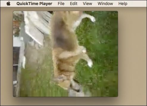 Интерфейс QuickTime: меню Правка с опциями поворота и отражения видео