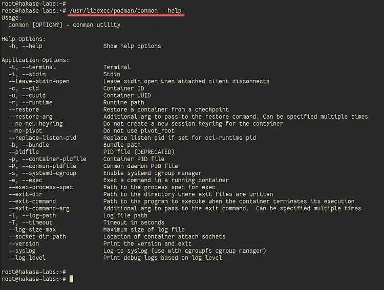 Пример вывода --help для conmon
