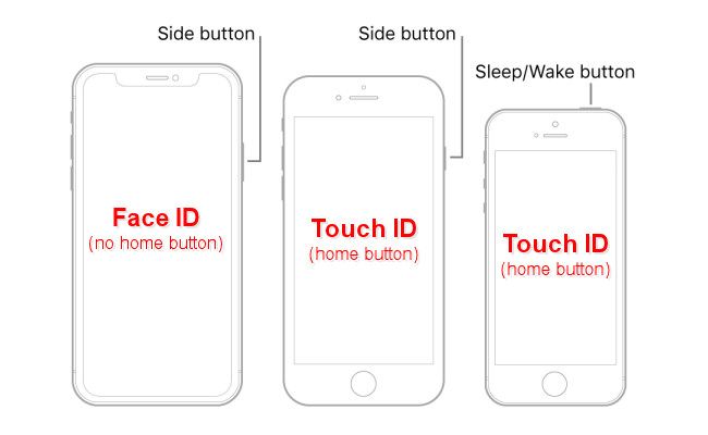 Схема iPhone с Face ID или Touch ID