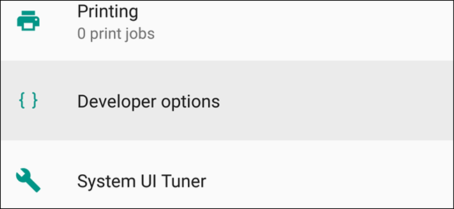 Параметры разработчика
