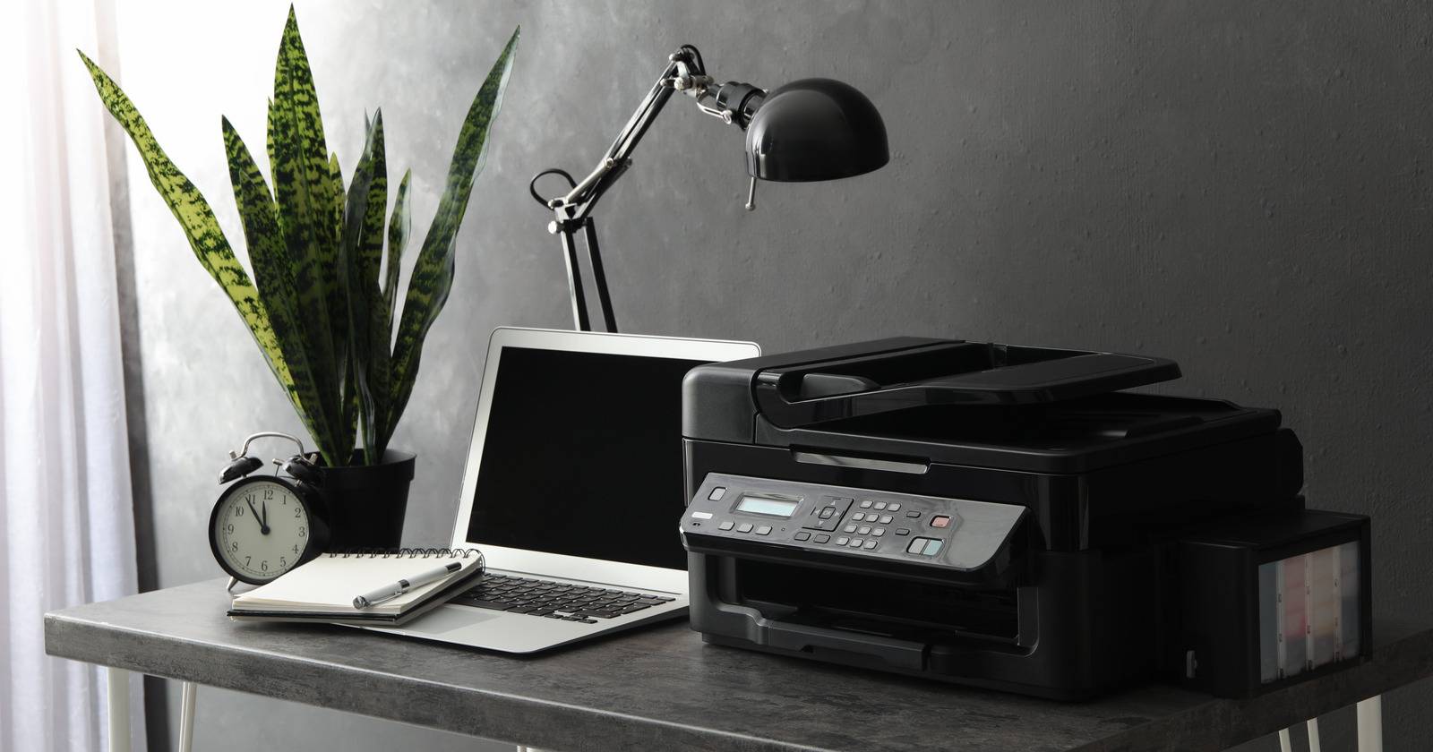 Как сканировать на многофункциональном принтере — Windows и macOS