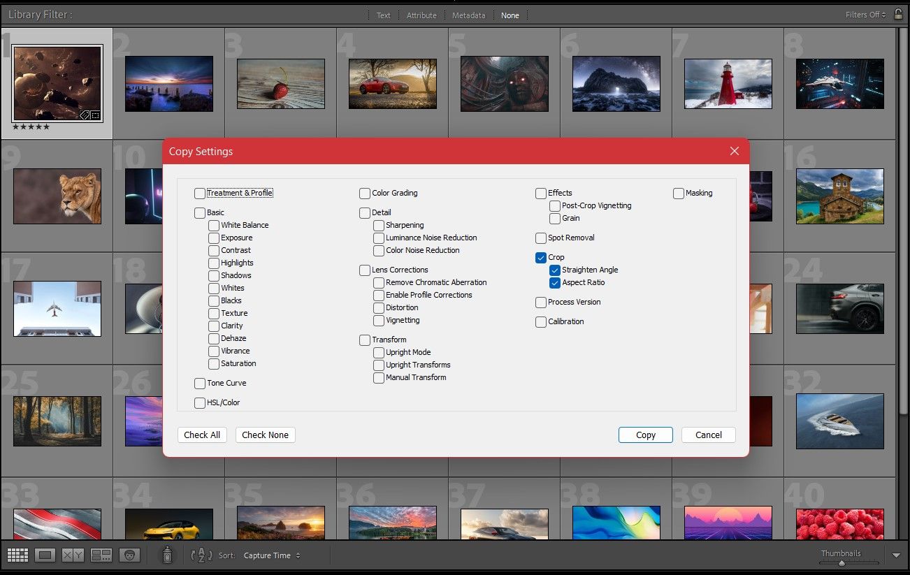 Окно Copy Settings, выбор только параметра Crop для копирования