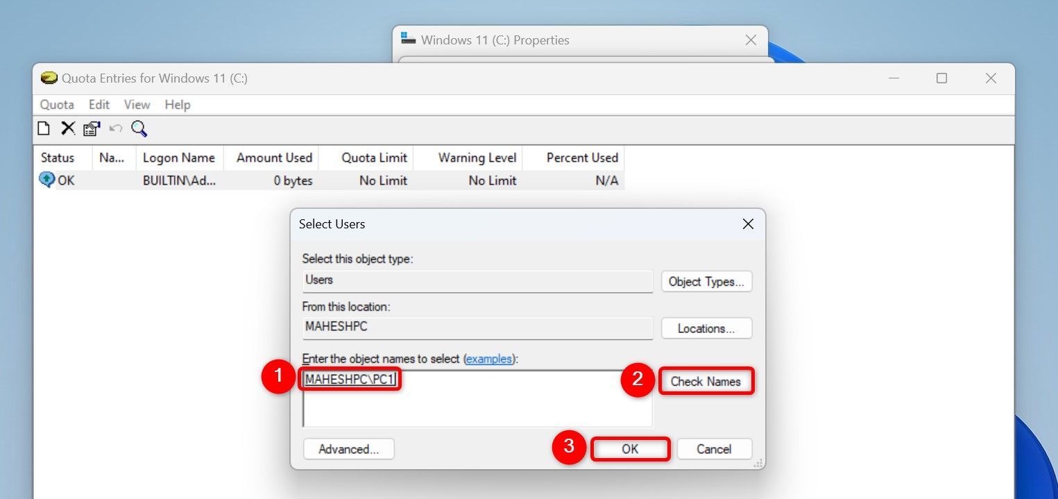 Окно выбора пользователей с выделенными опциями для ввода имени и проверки.