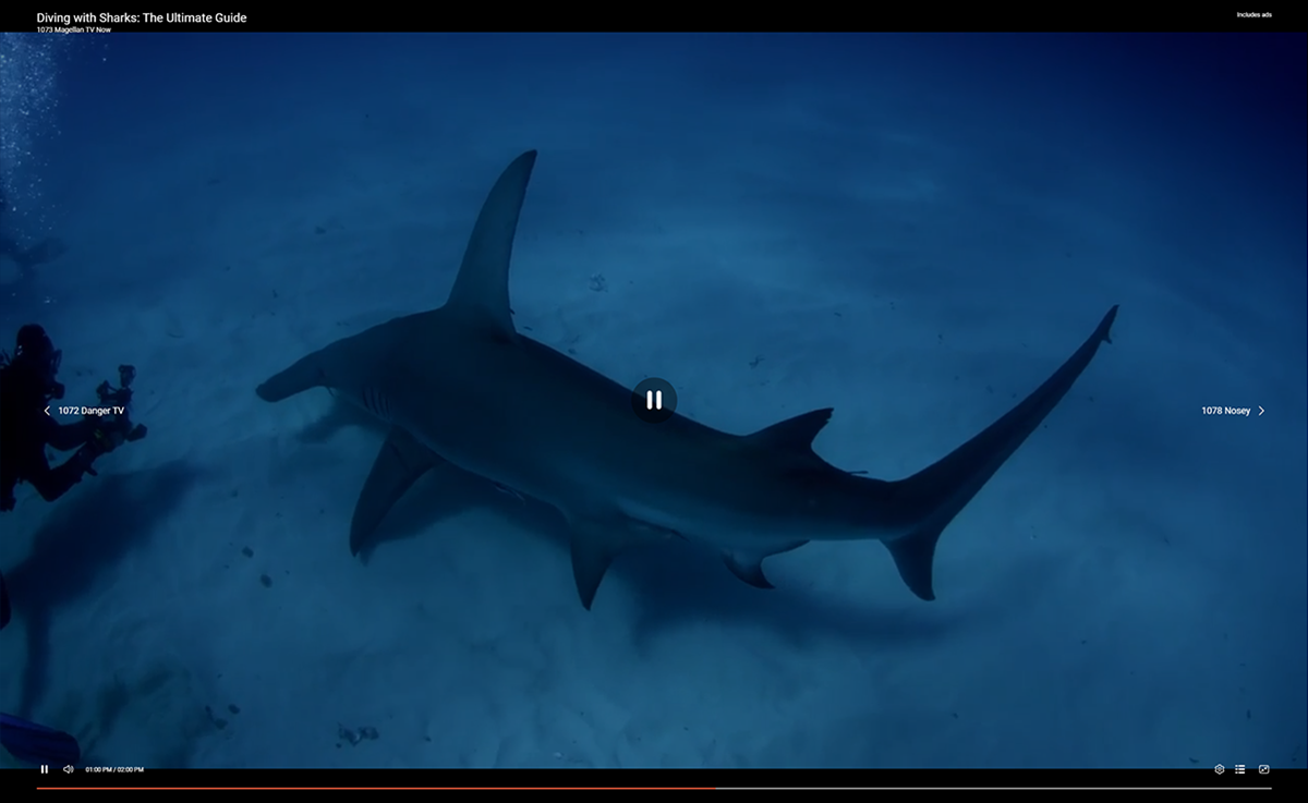 Samsung TV Plus in Fullscreen Mode