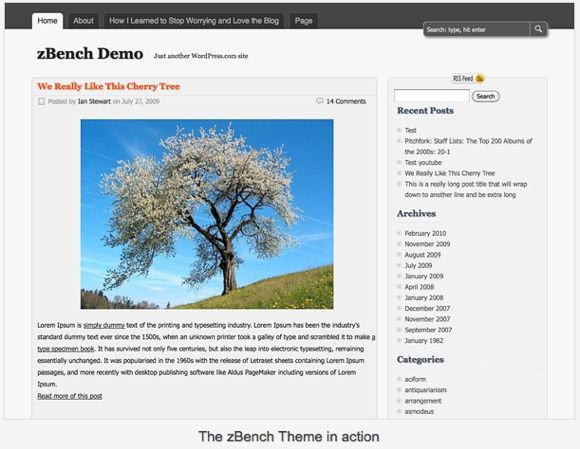 Демонстрация темы с изображением и заголовком