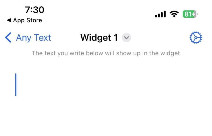 Пустое текстовое поле в приложении AnyText для ввода заметки