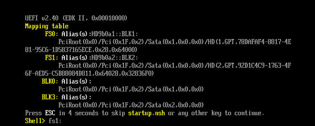 EFI Shell: FS1 присутствует, готов к запуску