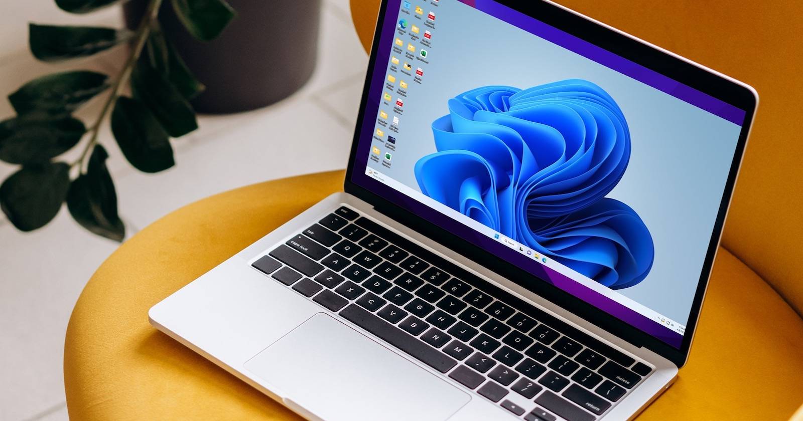 Удалённый доступ к Windows с Mac