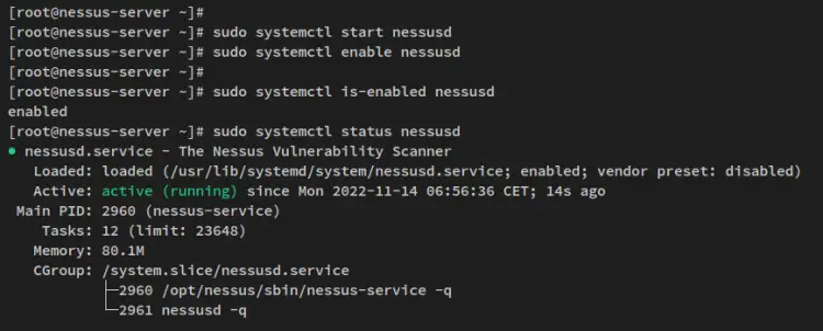 Статус службы Nessus после запуска