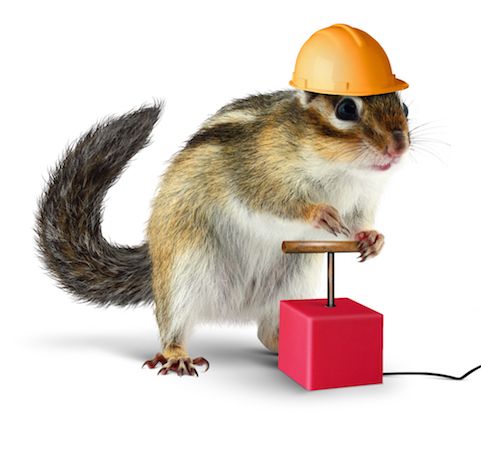 Белка с детонатором в шутливом визуале