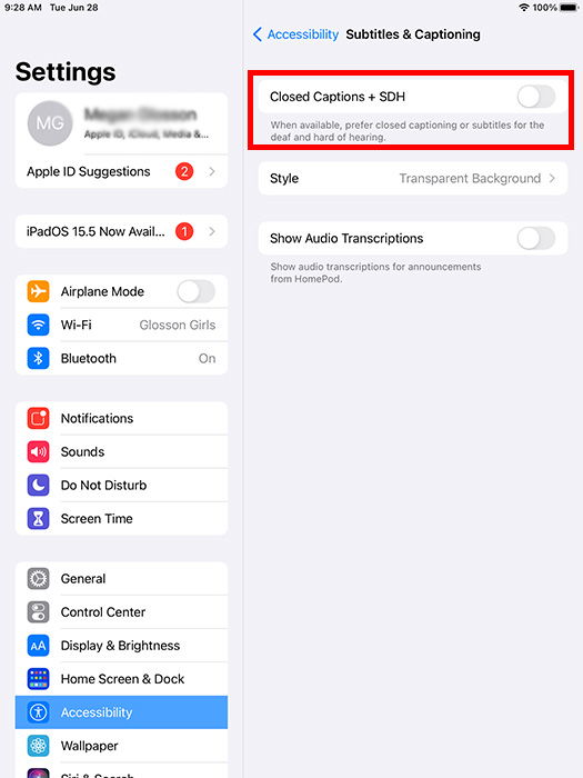 Субтитры включены