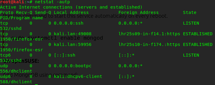 Пример вывода netstat -atu