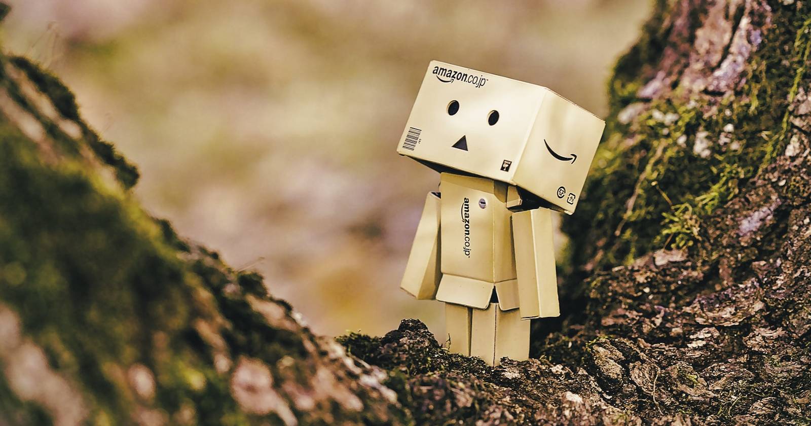 Как публиковать книгу на Amazon через Reedsy