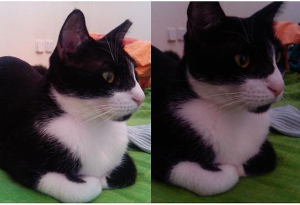 Человек фотографирует объект при рассеянном дневном свете