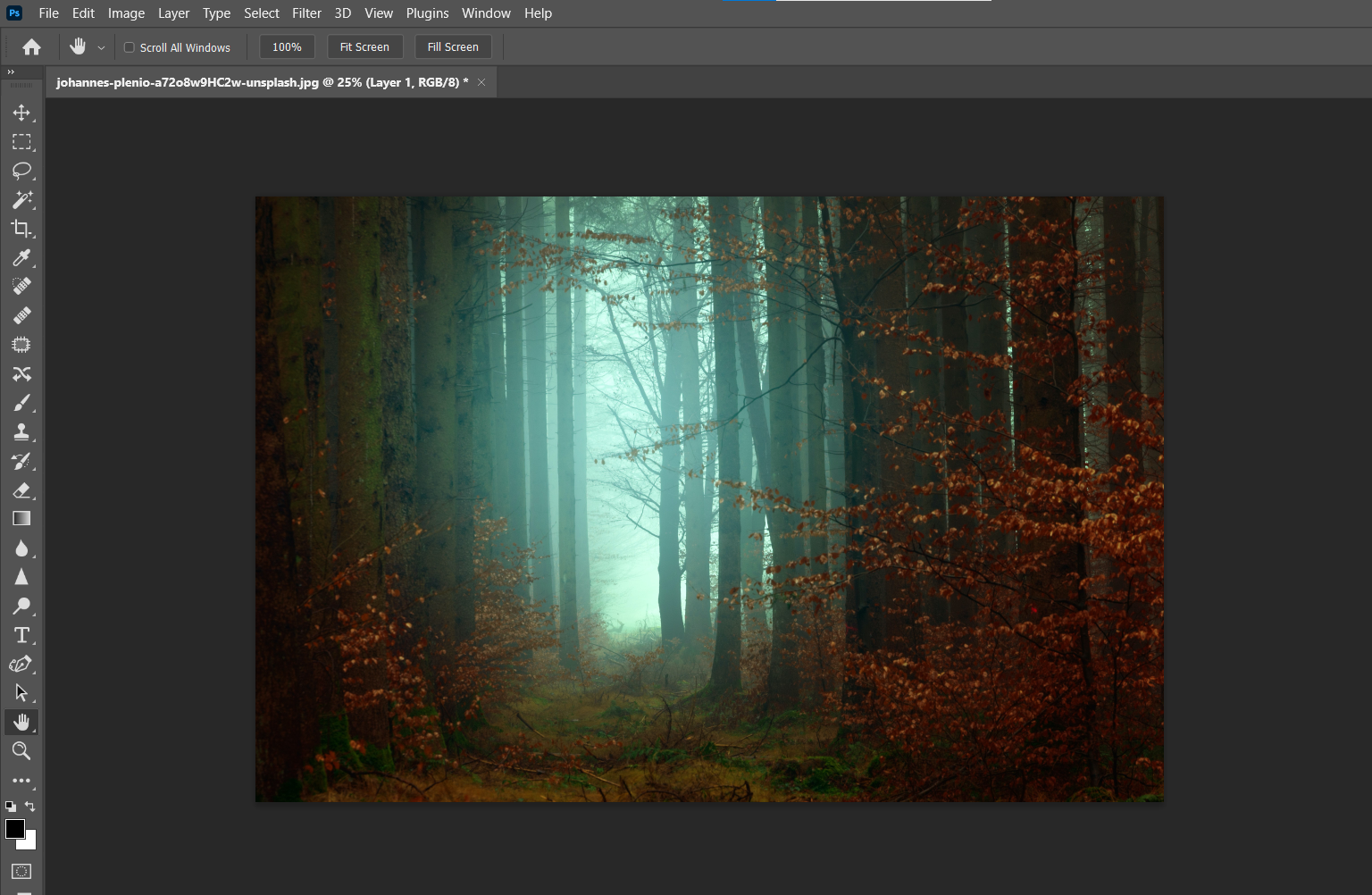 лес до обработки