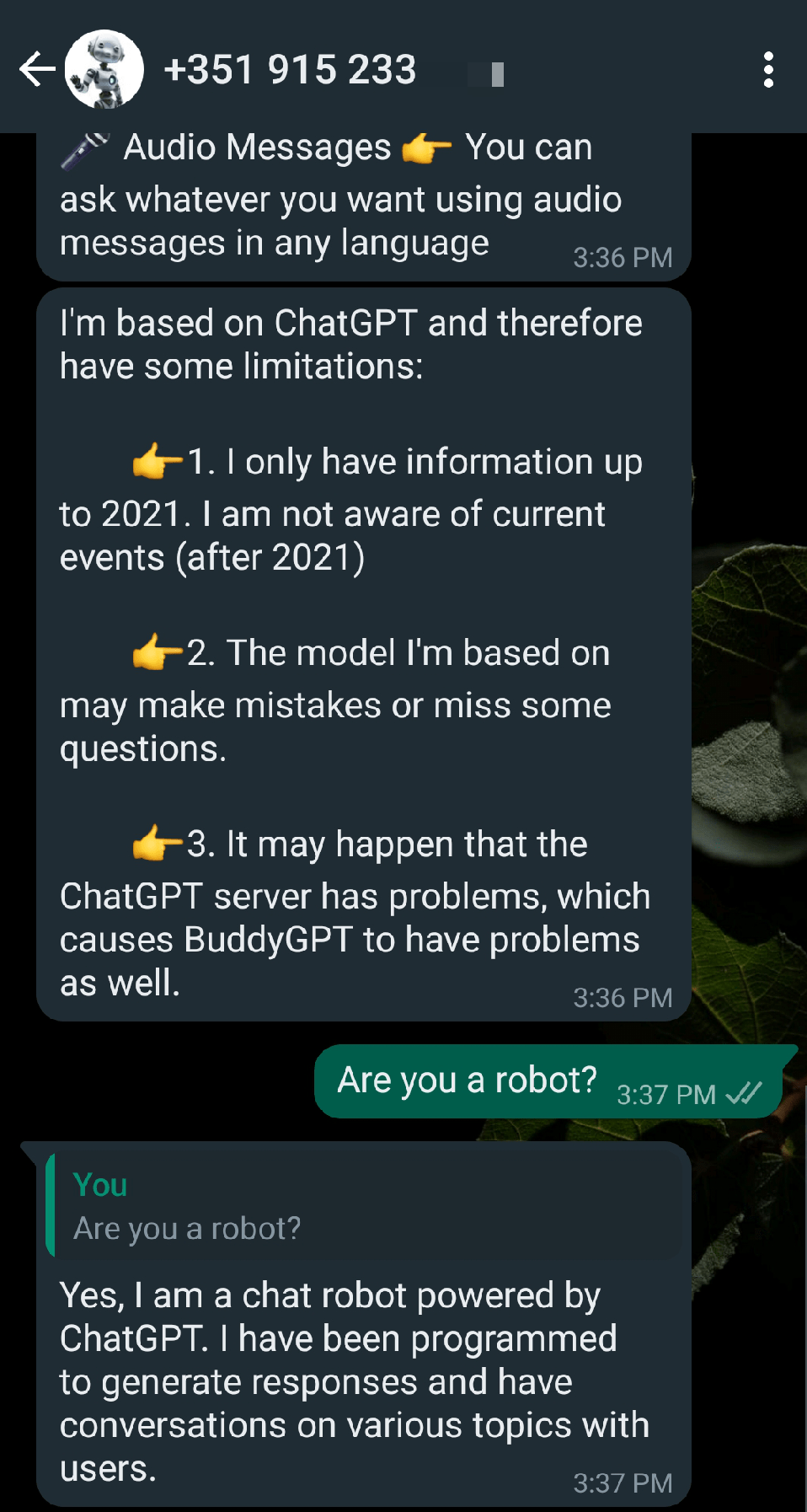 Инструкции по использованию ChatGPT в WhatsApp