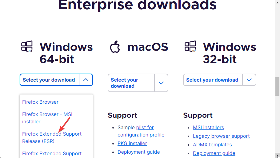 Выбор Firefox ESR в списке версий