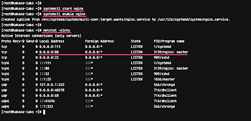 Mautic на CentOS 7 — установка и настройка LEMP