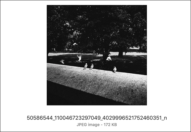 Иллюстрация размера файла при экспорте