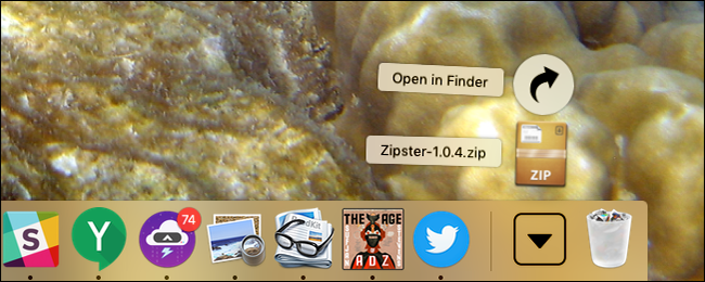 Скачивание Zipster в ZIP-архиве