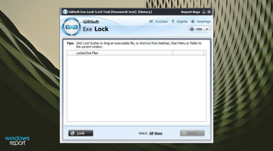 GiliSoft EXE Lock: окно настройки блокировки исполняемого файла