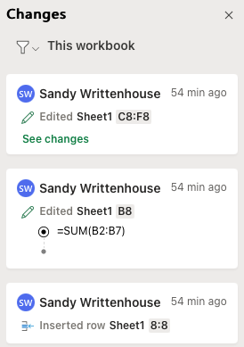 Панель «Показать изменения» для книги в Excel