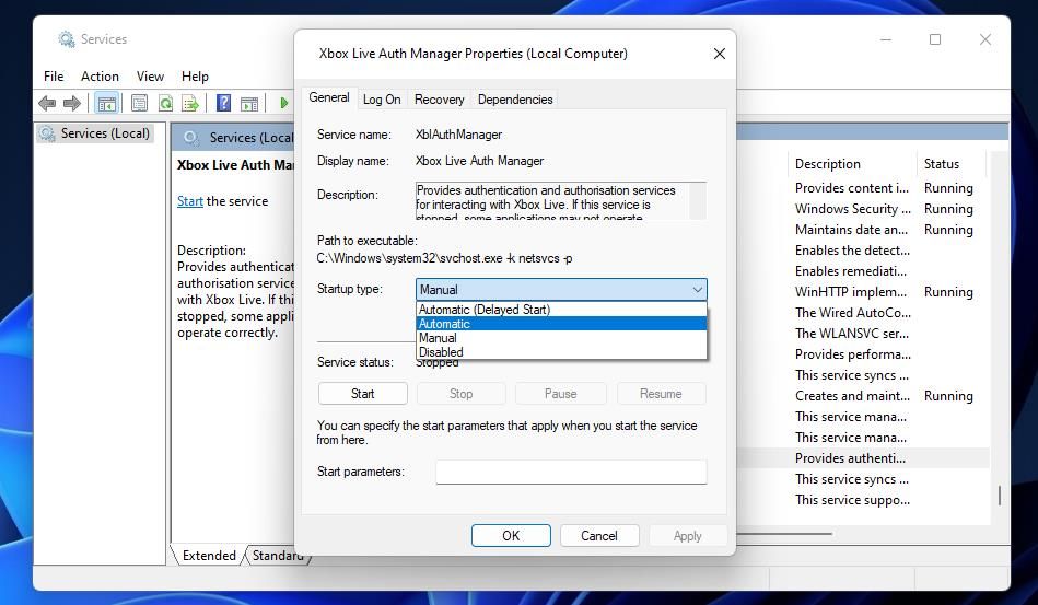 Опция Автоматический тип запуска